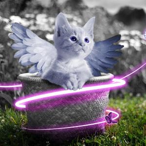 外国人日批视频
